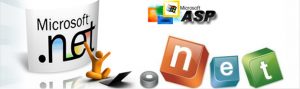 .Net Training In Delhi